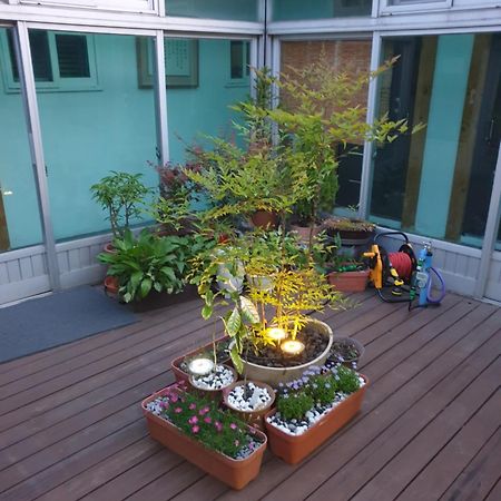 Dal Garam Guesthouse Гангнеунг Екстериор снимка
