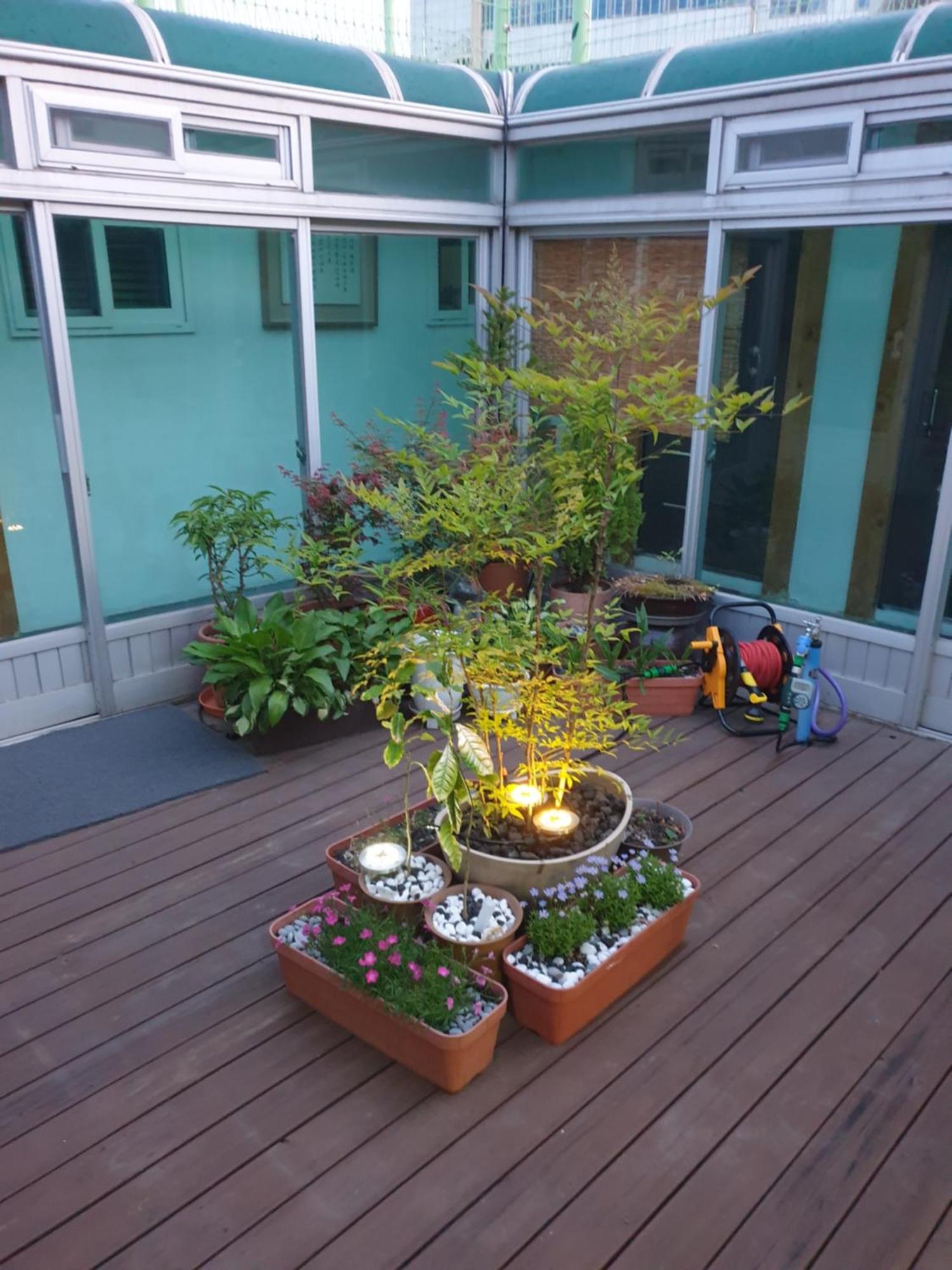 Dal Garam Guesthouse Гангнеунг Екстериор снимка